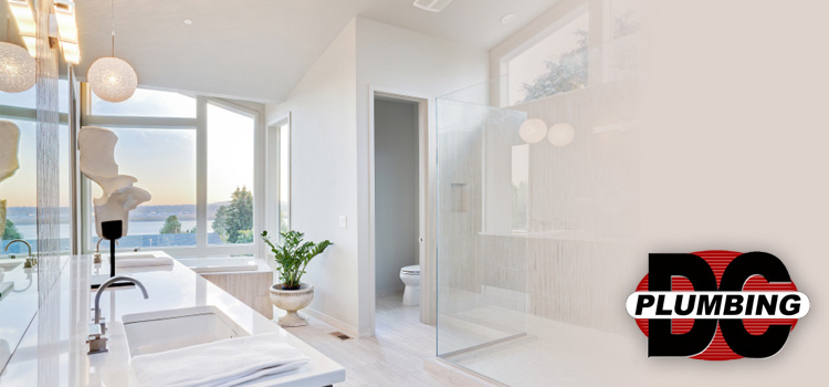 SEO and Social Marketing for DC Plumbing