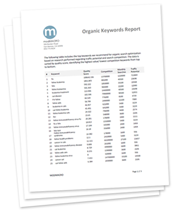 SEO Keywords Report