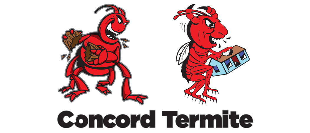 Concord Termite Control Logo Design
