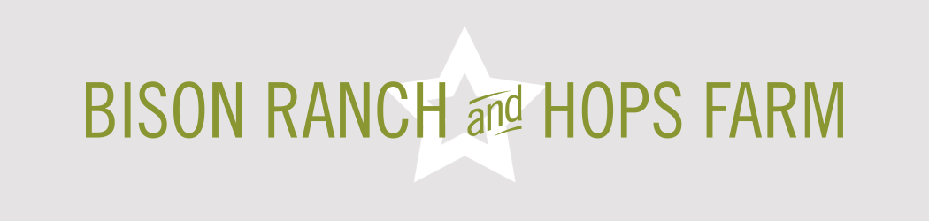 Star B Ranch Logo Design San Diego